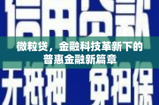 城中微粒贷，金融科技革新下的普惠金融新篇章