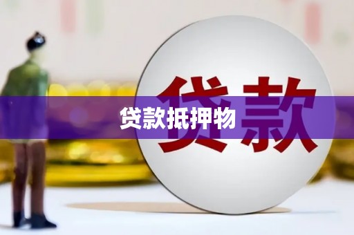 城中贷款抵押物
