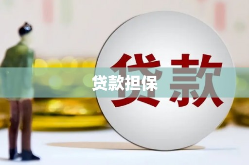 城中贷款担保