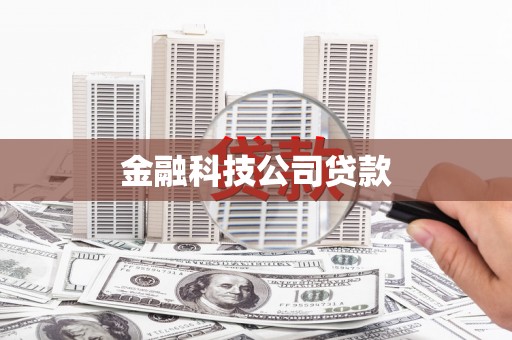 城中金融科技公司贷款