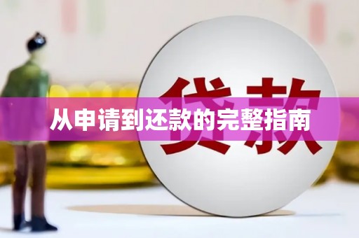 城中从申请到还款的完整指南