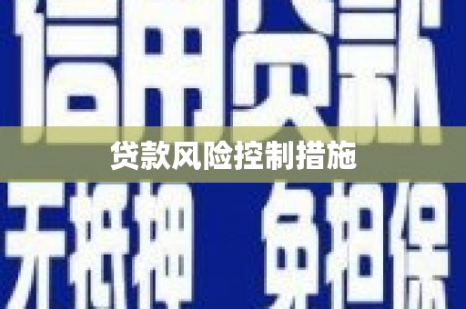 城中贷款风险控制措施