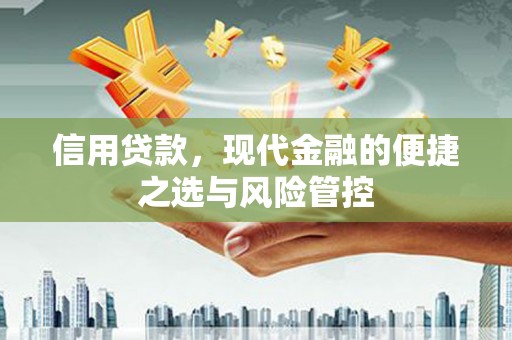 城中信用贷款，现代金融的便捷之选与风险管控
