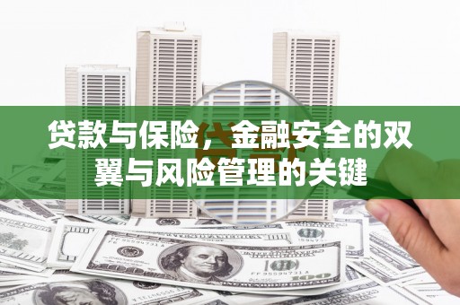 城中贷款与保险，金融安全的双翼与风险管理的关键