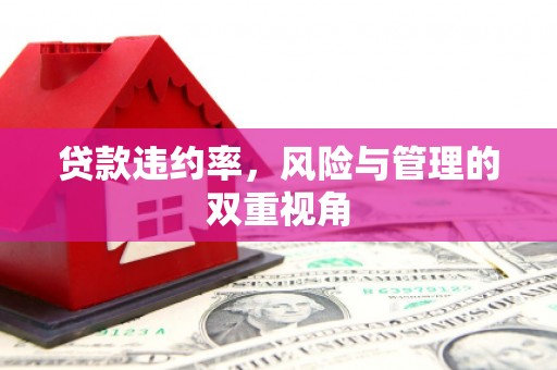 城中贷款违约率，风险与管理的双重视角