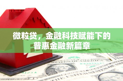 城中微粒贷，金融科技赋能下的普惠金融新篇章