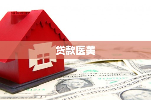 城中贷款医美