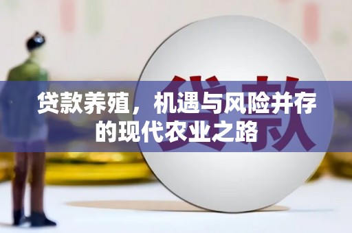 城中贷款养殖，机遇与风险并存的现代农业之路