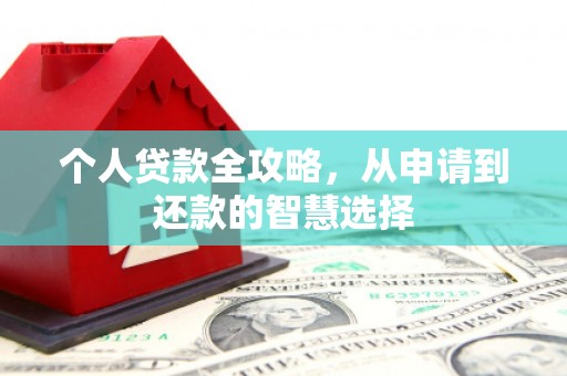 城中个人贷款全攻略，从申请到还款的智慧选择