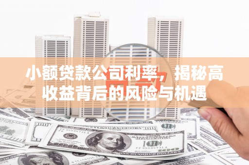 城中小额贷款公司利率，揭秘高收益背后的风险与机遇