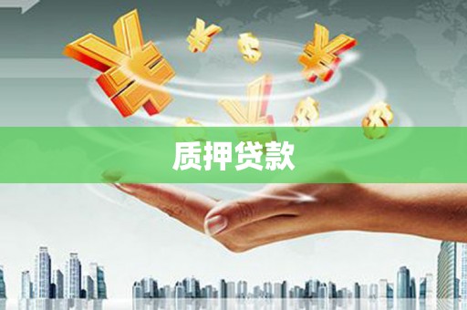 城中质押贷款