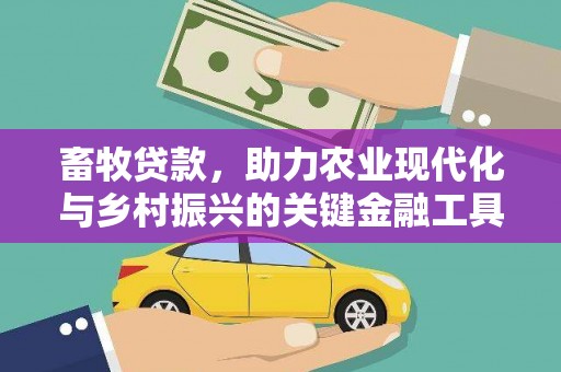 城中畜牧贷款，助力农业现代化与乡村振兴的关键金融工具