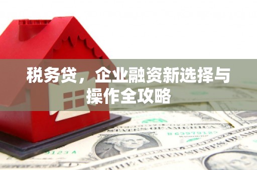 城中税务贷，企业融资新选择与操作全攻略