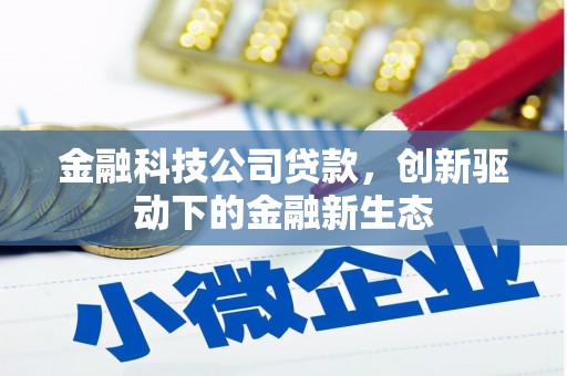 城中金融科技公司贷款，创新驱动下的金融新生态