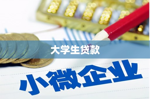 城中大学生贷款