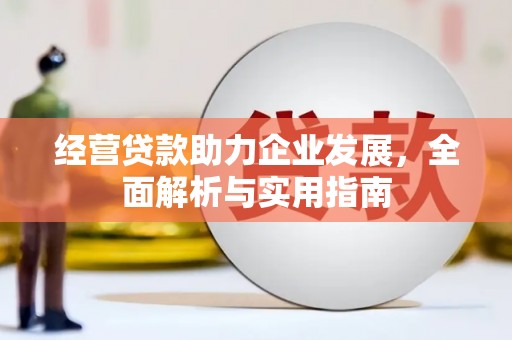城中经营贷款助力企业发展，全面解析与实用指南