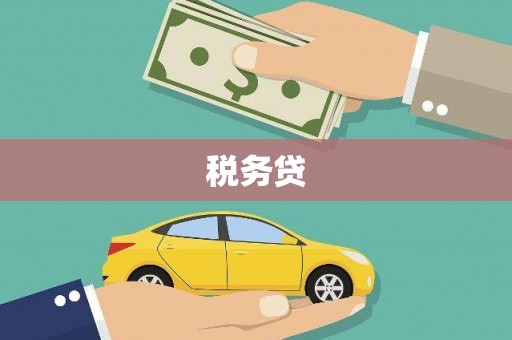 城中税务贷
