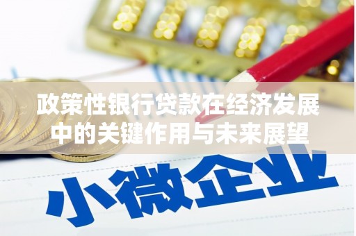 城中政策性银行贷款在经济发展中的关键作用与未来展望