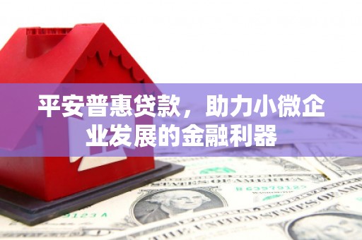 城中平安普惠贷款，助力小微企业发展的金融利器