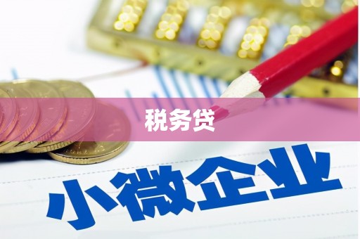 城中税务贷