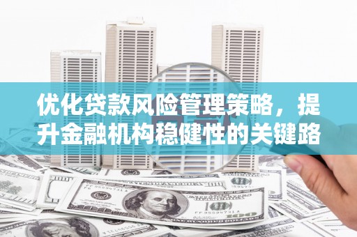 城中优化贷款风险管理策略，提升金融机构稳健性的关键路径