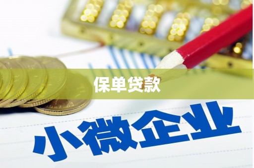 城中保单贷款