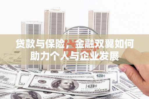 城中贷款与保险，金融双翼如何助力个人与企业发展