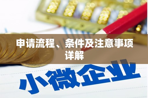 城中申请流程、条件及注意事项详解