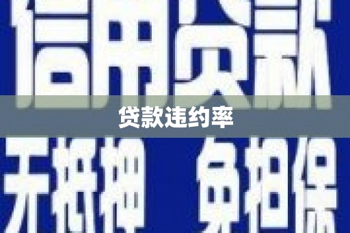 城中贷款违约率