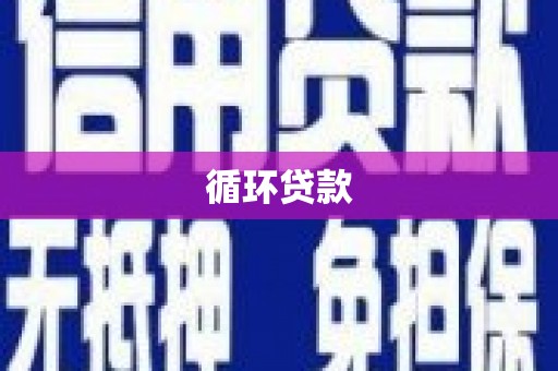 城中循环贷款