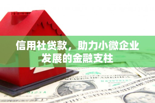城中信用社贷款，助力小微企业发展的金融支柱