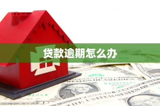 城中贷款逾期怎么办