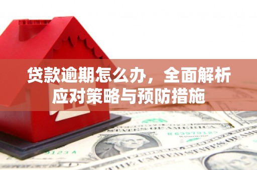 城中贷款逾期怎么办，全面解析应对策略与预防措施