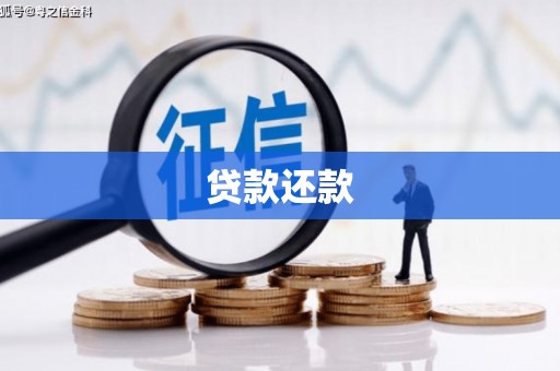 城中贷款还款