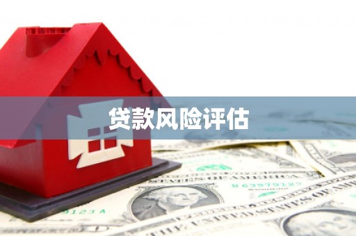 城中贷款风险评估