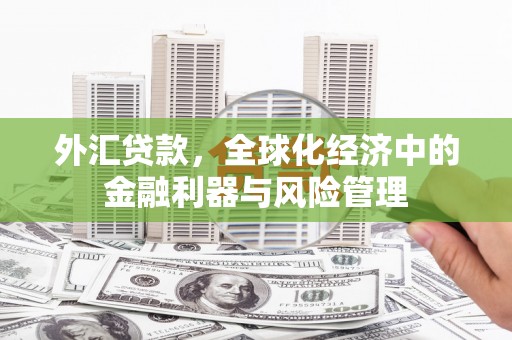 城中外汇贷款，全球化经济中的金融利器与风险管理