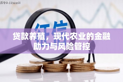 城中贷款养殖，现代农业的金融助力与风险管控