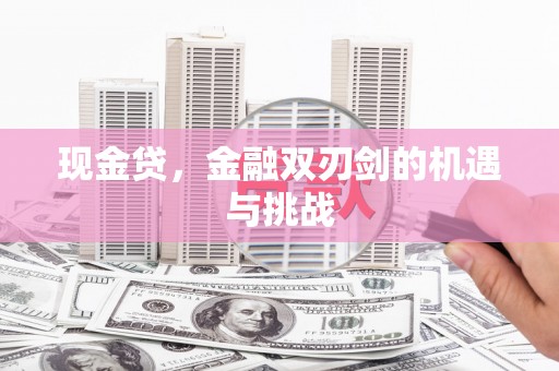 城中现金贷，金融双刃剑的机遇与挑战