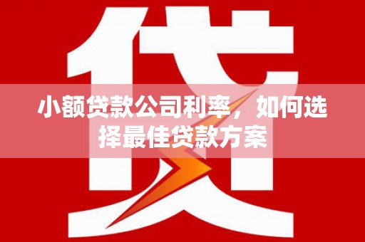 城中小额贷款公司利率，如何选择最佳贷款方案