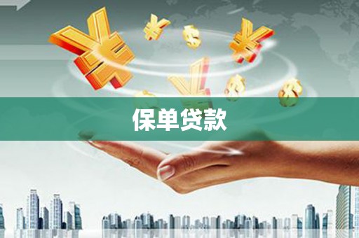 城中保单贷款