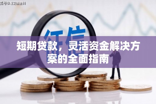 城中短期贷款，灵活资金解决方案的全面指南
