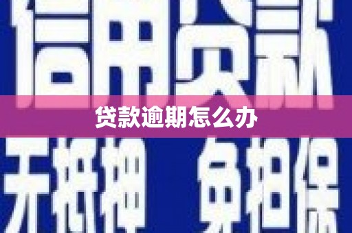 城中贷款逾期怎么办