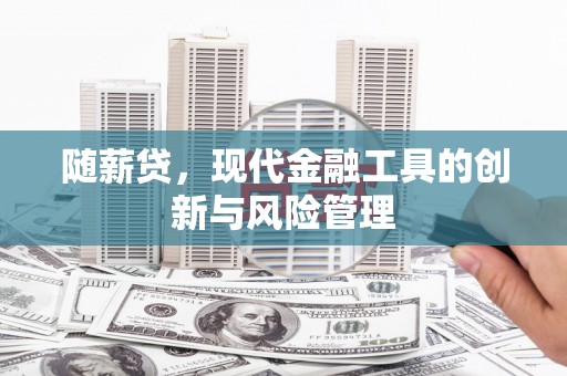 城中随薪贷，现代金融工具的创新与风险管理