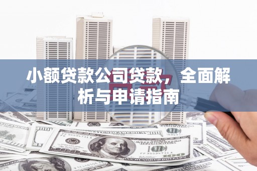 城中小额贷款公司贷款，全面解析与申请指南