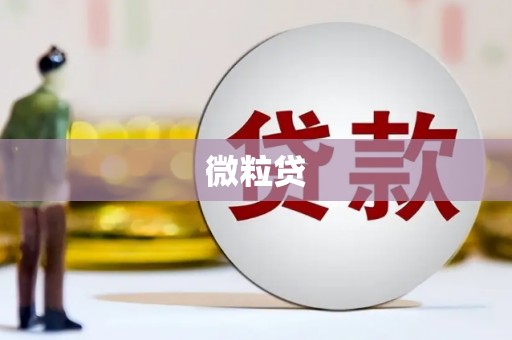 城中微粒贷