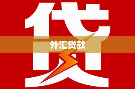城中外汇贷款