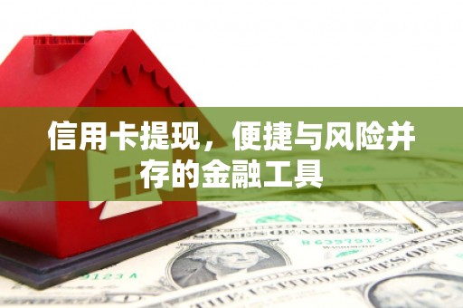 城中信用卡提现，便捷与风险并存的金融工具