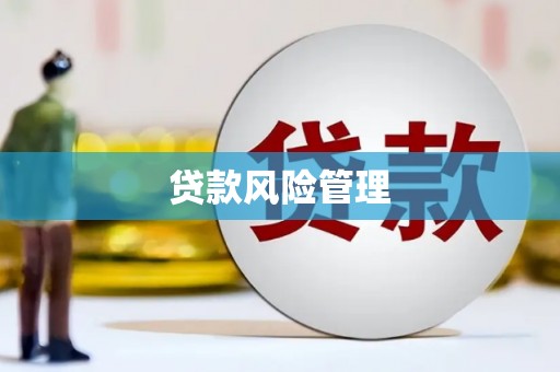 城中贷款风险管理