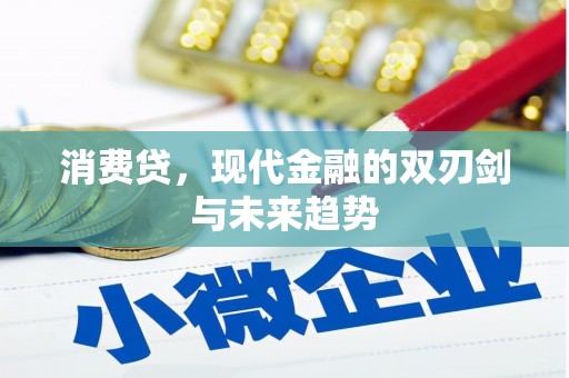 城中消费贷，现代金融的双刃剑与未来趋势