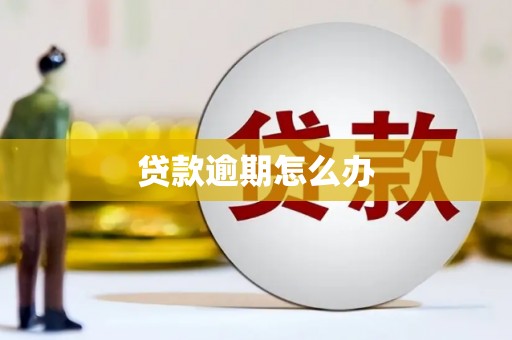 城中贷款逾期怎么办